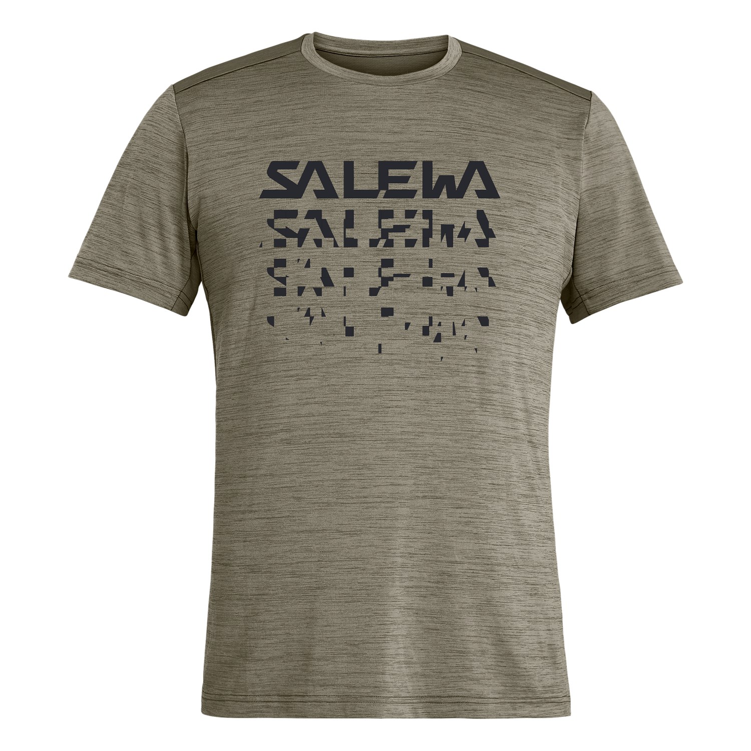 SALEWA Pedroc Hybrid Dry Camiseta de Manga Corta Hombre 