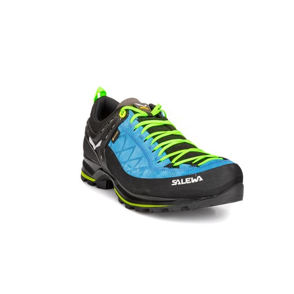 Various Sizes and Colors Salewa Men's Mtn Trainer L
